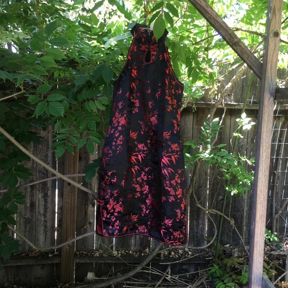 Cheongsam or Qi Pao Asian Dress